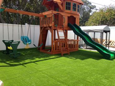 Artificial Grass Photos: Artificial Pet Turf Saticoy California Lawns